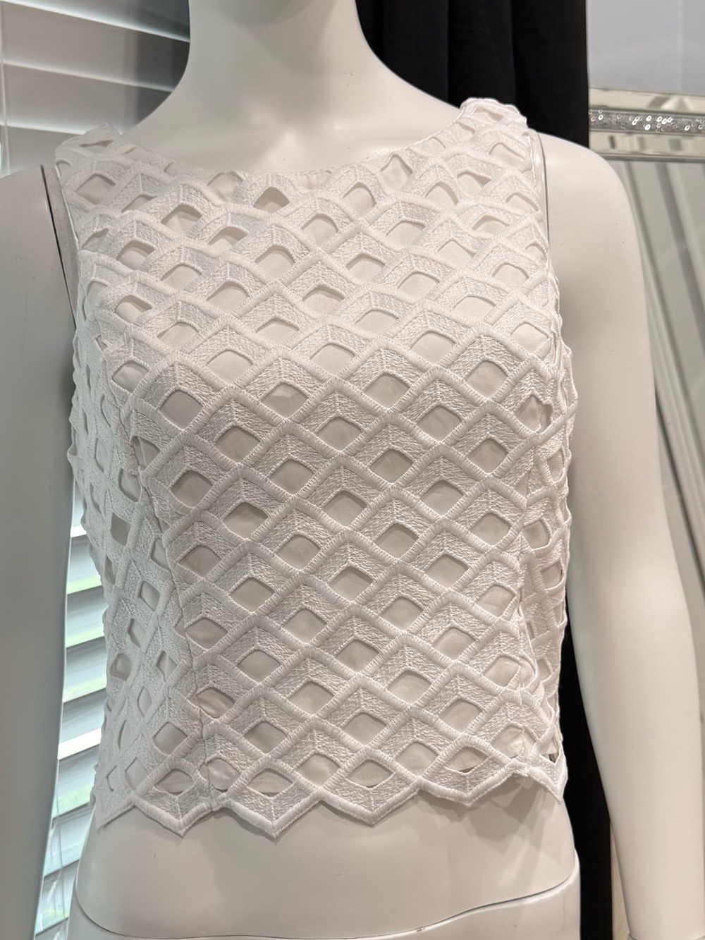 White House Black Market White Sleeveless Lace Crop Top